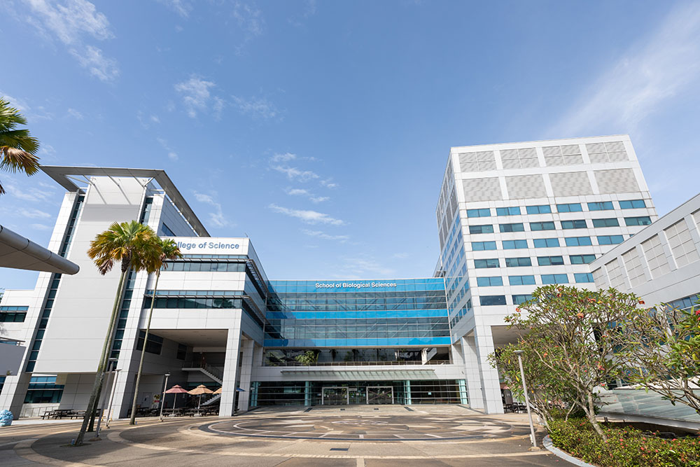 NTU Singapore